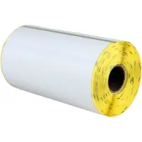 Zebra Etichetta 3003074 (Z-Select 2000D) - Nero su bianco (101,6 mm x 152,4 mm) 16 rotoli
