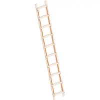 Layher 1046 Scala da carpentiere in legno a 10 pioli