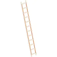 Layher 1046 Scala da carpentiere in legno a 12 pioli