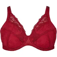 Zizzi Reggiseno rosso carminio