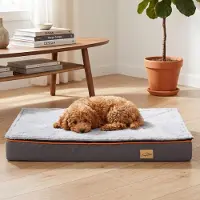 Bingopaw Cuccia ortopedica per cani WISFOR, tappetino imbottito per cani, soffice e stabile, con rivestimento removibile e lavabile, taglia M: 80 x 50 x 8 cm