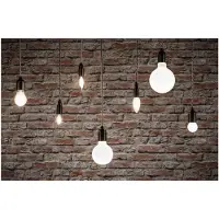 Paulmann LED globo G80 E27 7,5W 827 opale dimming