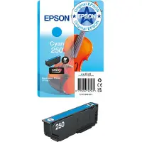 Epson Cartuccia Di Inchiostro 250