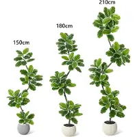OEM Albero di fico d'India artificiale, design realistico, rami flessibili, colore verde, altezza 150 cm
