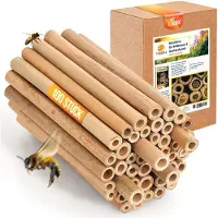 Merkloos 200 involucri di bambù da 14 cm per alveari e hotel per insetti