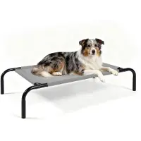Sonstiges Letto rialzato per cani di taglia media, con struttura in acciaio, dimensioni 110 x 65 x 20 cm, realizzato in rete traspirante Teslin