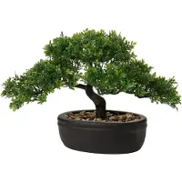Sonstiges Bonsai artificiale Podocarpus cedar pine nero fioriera in Vetroceramica 25 x 23 cm