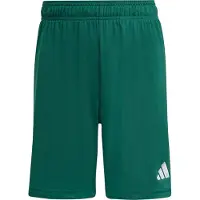 Adidas Pantaloni Corti Entrada 26