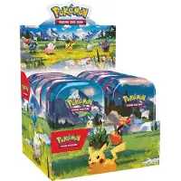 Pokemon Trading Card Game Eroi Ascesi Mini Tin Latino Spagnolo 10 Unità