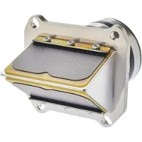 Boyesen Valvola Radiale 41e Gasgas Mc 125 Rad-41e