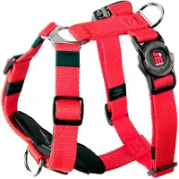 My Family Pettorina Per Cani Memopet H Adjustable