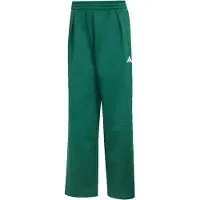 Adidas Pantaloni sportivi verde / bianco
