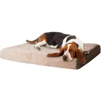 Merkloos Elzusha - Cuccia per cani in memory foam con imbottitura rimovibile, taglia media, color beige