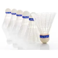 Carlton Volani Da Badminton F2 White Medium