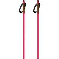 Fischer Bastoncini Storm Gtx S