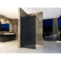 Aloni Parete doccia walk-in Eco in vetro fumé nero 120x200 8 mm