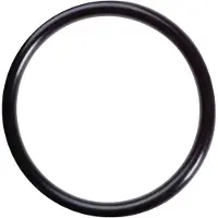 PLASTIMO O-ring Valvola M24