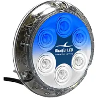 Bluefin Led Piranha P12 Montaggio A Superficie 12/luce 24v