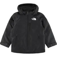 The North Face Giacca sportiva 'FREEDOM' nero