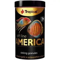 Tropical Cibo Per Pesci Soft Line America M 60 G