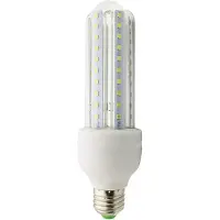 Wellhome Lampadina Led Pk8021 6000k 105x35 Mm 3w 260 Lumens 15 Unità