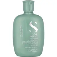Alfaparf Milano Shampoo Energizzante 250 ml — Shampoo
