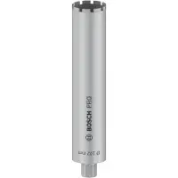 Bosch Punta Diamantata Standard102x450 Mm