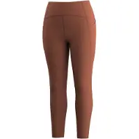 Smartwool Women's Active Merino Movement Tight Leggings Donna (L, marrone)