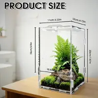 StarTech.com Terrario in acrilico - Contenitore per il cibo - Trasparente - Ventilato - Per ragni e insetti - Terrario della foresta pluviale - Taglia S - Trasparente