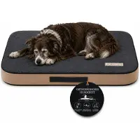 TRIBECCO Materasso ortopedico per cani, cuccia, delicato sulle articolazioni, dimensioni L 100x75 cm, colore grigio