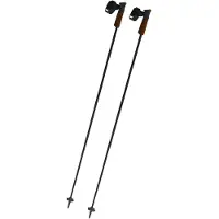 Fischer - Bastoncini da sci - GT 13 Carbon Mag - Taglia 120 cm - Nero