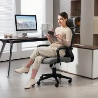 Selius Sedia da ufficio - Sedia ergonomica - Sedia per ufficio - Sedia girevole - Sedia per computer - Regolabile in altezza