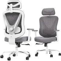 Selius Sedia da ufficio - Sedia ergonomica - Sedia da gaming - Bicicletta da scrivania - Braccioli regolabili in 4 dimensioni