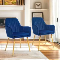 Selius Set di 2 sedie da pranzo, eleganti poltrone in velluto per soggiorno o sala da pranzo, sedie da cucina rivestite in velluto con gambe in metallo dorato, stile [nome dello stile, se presente]