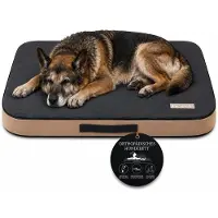 TRIBECCO Materasso ortopedico per cani, cuccia, ideale per proteggere le articolazioni, taglia XL, 110x75 cm, colore grigio