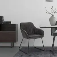 Selius Set di 2 sedie da pranzo - Sedie - Sedia da pranzo - Sedie con braccioli - Velluto - Grigio