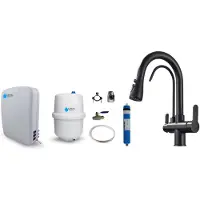 Selius Rubinetto da cucina Nordic Met RO7 con sistema di filtraggio dell'acqua, finitura nera opaca