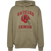 s.Oliver Sweatshirts Army Green Taglia: L | Felpe con cappuccio Outlet | Uomo | Verde
