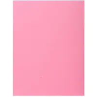 Exacompta Cartella 348003e Pink 100 Unità