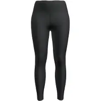 Icebreaker Leggings Speed Winter Merino