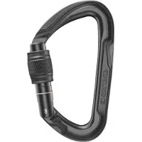 Edelrid Pure Screw III Moschettoni a ghiera grigio