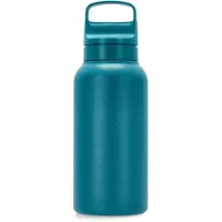 LifeStraw Go Laguna Teal GOST-1L-TEAL Stainless Steel, bottiglia con filtro a 2 fasi, 1L