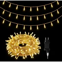 Dripio Catena luminosa a LED, 300 luci, luce bianco caldo, lunghezza 30 metri, con spina di tipo europeo