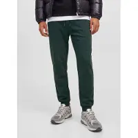 Jack & Jones Pantaloni 'JPSTGordon JJBradley' verde scuro