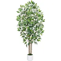 Merkloos Solidchoice - Ficus artificiale, altezza 150 cm, adatto per interni ed esterni