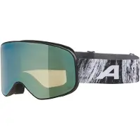 Alpina Slope Q-Lite S2 Maschera da sci variopinto