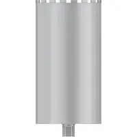 Bosch Punta Diamantata Pro 1-1/4´´ 250x450 Mm