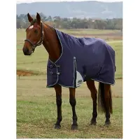 WeatherBeeta Coperta da paddock , taglia 155 - Comfitec Plus Dynamic, modello High Neck, imbottitura 220g - colore blu navy/verde foresta