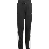 Adidas Pantaloni sportivi 'Essentials' nero / bianco