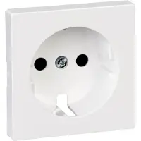 Merten MEG2330-0325 Placca centrale per inserto presa di terra, protezione contro il pericolo di contatto, bianco attivo lucido, Sistema M